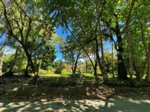 Private tropical land in Pavones near the beach