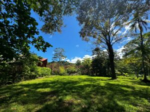 Tropical lot for sale in Pavones Costa Rica surrounded by nature