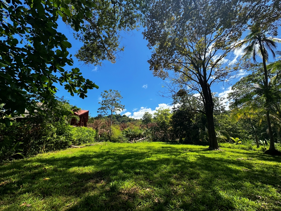 Tropical lot for sale in Pavones Costa Rica surrounded by nature