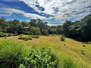 Ocean view property 5-minute walk to beach in Pavones