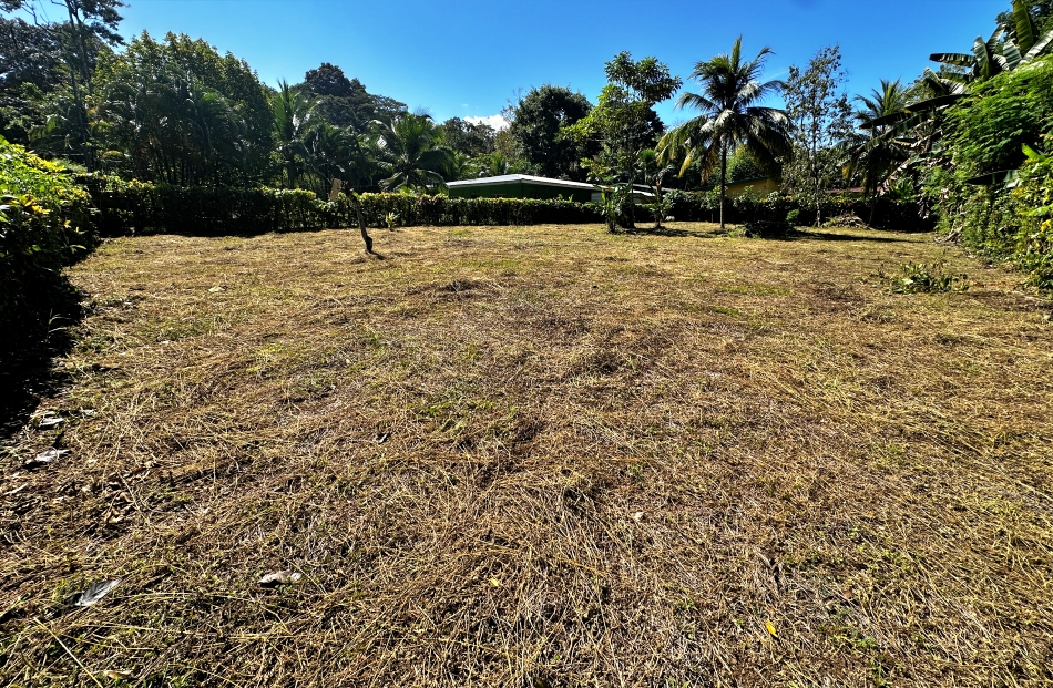 Titlet lot for sale in Pavones Costa Rica