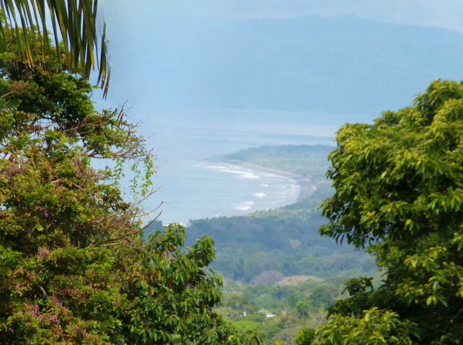 gulf and mountain view land Pavones