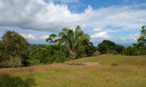 building site with gulf view Pavones
