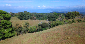 tropical land for sale Pavones Costa Rica