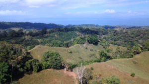 elevated property overlooking Golfo Dulce