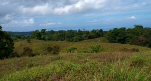 mountain and ocean view Pavones