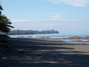 Nature surroundings of La Hierba Pavones home