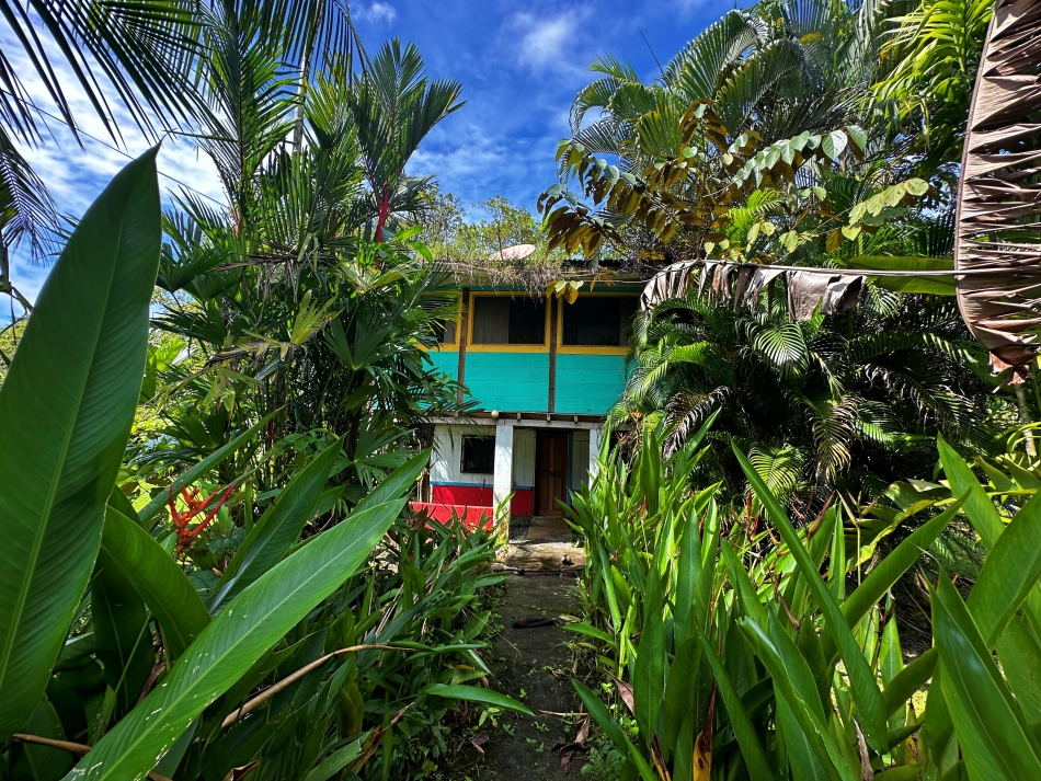 Pavones real estate home for sale in La Virgen with garden