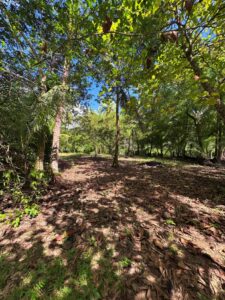 Oceanfront Lot for Sale: Exclusive Property in Playa Zancudo