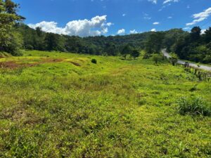 Cerro Verde Lot For Sale in Golfito
