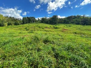 Horizonte Verde Lot For Sale in Golfito