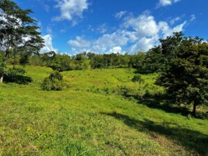 Green Pastures Paradise For Sale in Golfito