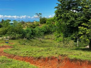 Monte Claro Lot For Sale in Cuervito Of Pavones