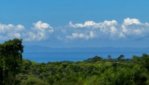 Finca Paraiso For Sale in Pavones