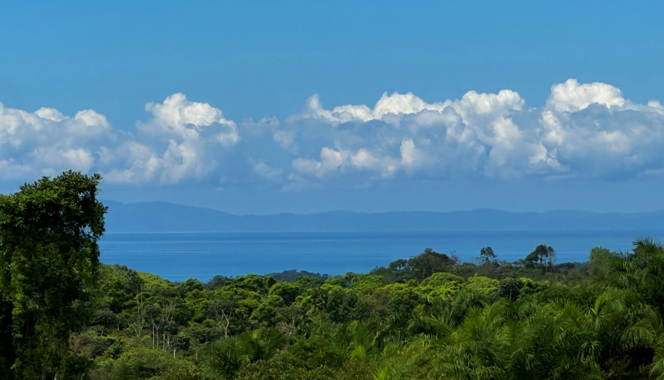 Finca Lomas del Paraiso