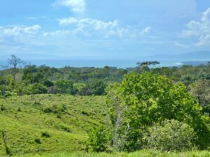 Scenic ocean horizon from Pavones property for sale