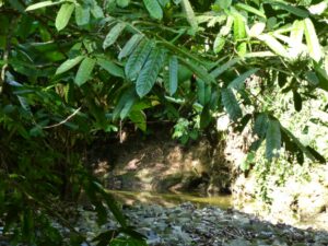 Freshwater river near property in Pavones – Ocean and Mountain View For Sale