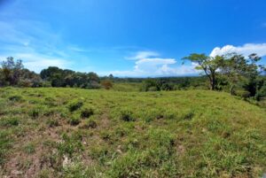 Peaceful jungle property in Pavones Costa Rica