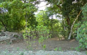Lot Near The Ocean for Sale in Zancudo Beach