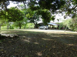 Commercial Property For Sale Near Pavones