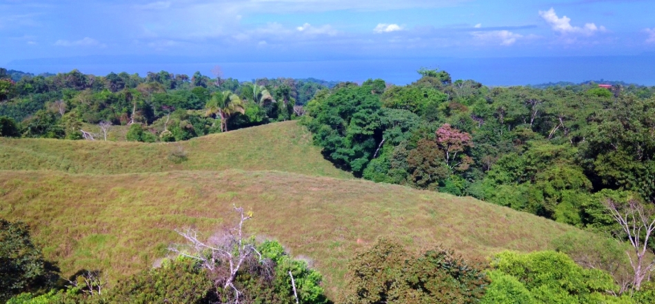 ocean view land in Cuervito Pavones
