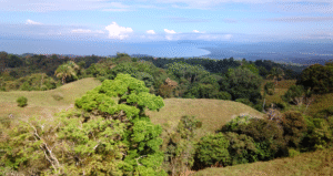 Golfo Dulce view from property