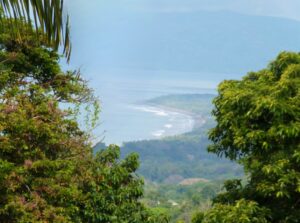 ocean view land in Cuervito Pavones