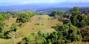 ocean view land in Cuervito Pavones