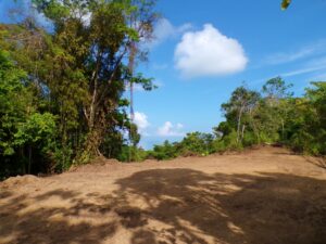 peaceful jungle land Pavones