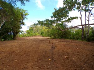 private jungle setting Pavones