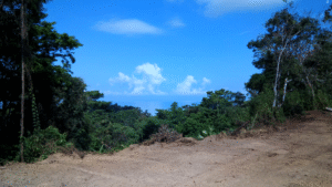 natural building site in Pavones