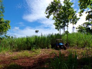 Real Real Estate in Pavones Costa Rica First Point Real Estate