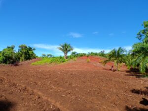 Pavones First Point Real Estate and properties for sale en Pavones