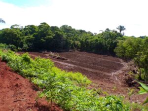 Lots for sale in Pavones Firts Point Real Estate