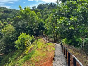 rainforest land Guaycará Golfito