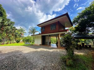 jungle property Golfito Costa Rica