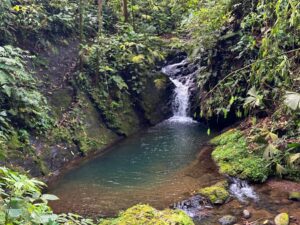 eco property Costa Rica