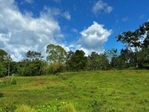 Scenic Mountain Lot For Sale in Golfito