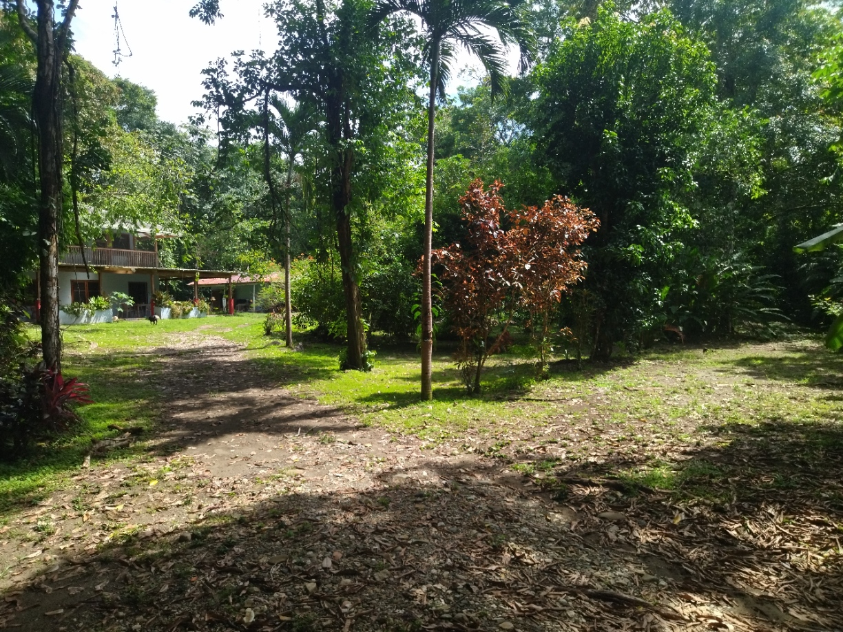 Tropical Gem in Zancudo large 4472m2 lot