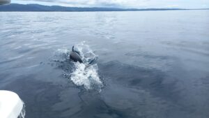 Costa Rica tropical property surrounded by nature