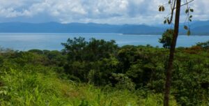 Vista Serena land for sale in Pavones Costa Rica with lush jungle and mountain views
