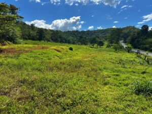 Vista Verde Paradise jungle property in Golfito Costa Rica