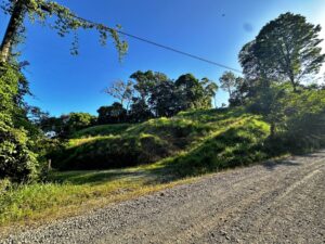 Ocean View Lot in Cuervito of Pavones