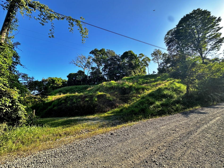 Ocean View Lot in Cuervito of Pavones