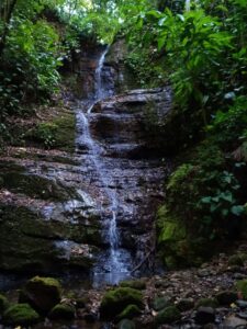 Finca de Cascadas For Sale in la Esperanza Pavones