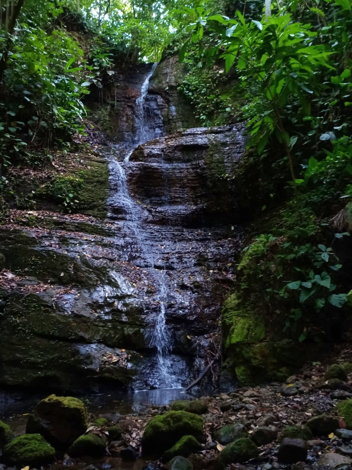 Finca de Cascadas For Sale in la Esperanza Pavones