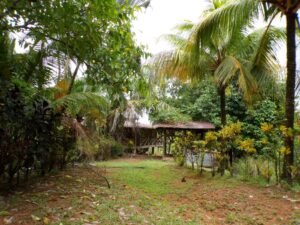 Ranch For Sale in Pavones