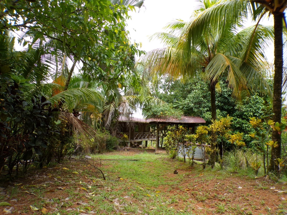 Ranch For Sale in Pavones