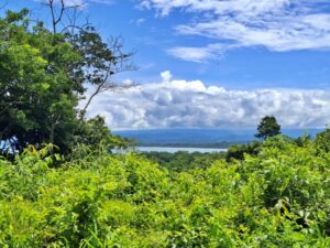 Dream Lots For Sale in Pavones