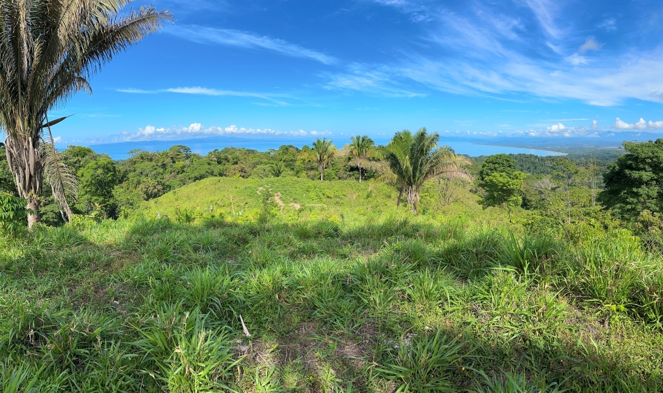 Pavones real estate jungle property for sale Costa Rica